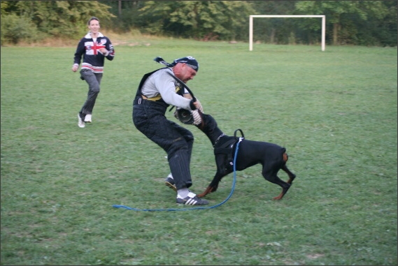 Summer training camp - Jelenec - 2007